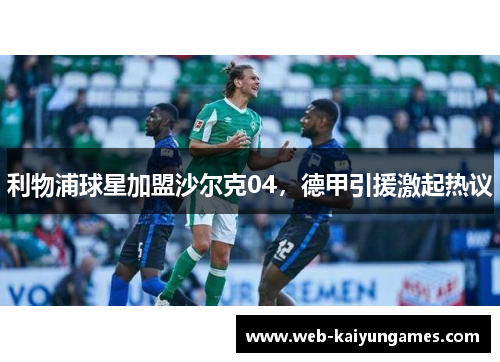 利物浦球星加盟沙尔克04，德甲引援激起热议